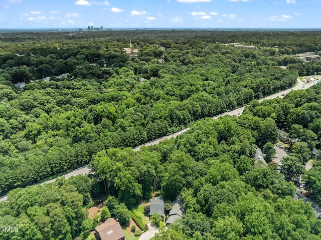 2849 Rue Sans Famille, Raleigh, NC 27607 - photo 46