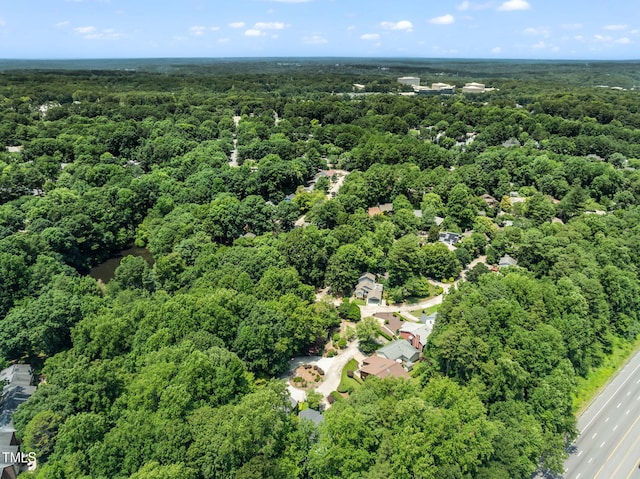 2849 Rue Sans Famille, Raleigh, NC 27607 - photo 47