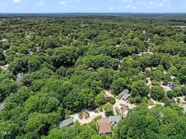 2849 Rue Sans Famille, Raleigh, NC 27607 - photo 49