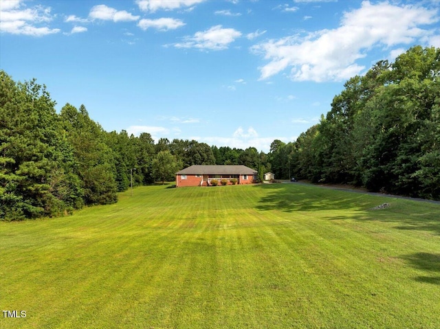 1379 Dr Martin Luther King Jr Blvd, Warrenton, NC 27589 - view of green lawn featuring a forest view