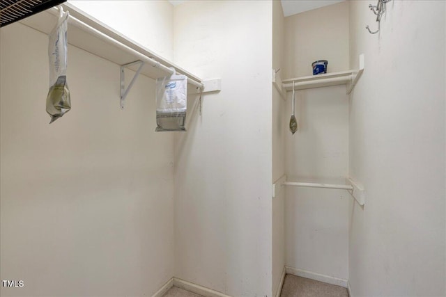 1379 Dr Martin Luther King Jr Blvd, Warrenton, NC 27589 - view of spacious closet