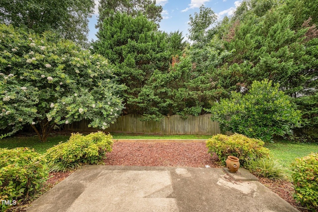 5508 Neuse Wood Dr, Raleigh, NC 27616 - photo 25