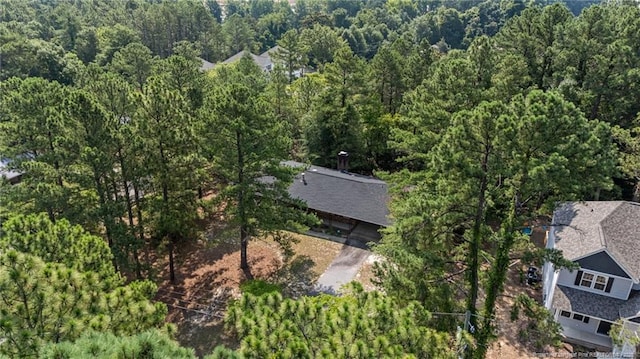 395 N Gaines St, Southern Pines, NC 28387 - view of subject property with a forest