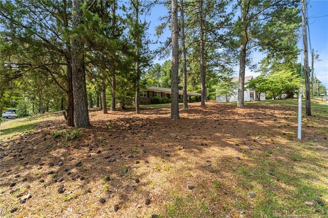 395 N Gaines St, Southern Pines, NC 28387 - photo 25