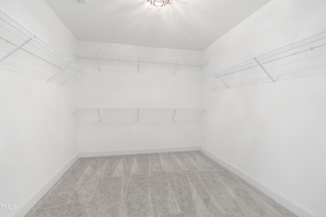 400 Swann Trl, Clayton, NC 27527 - walk in closet with carpet