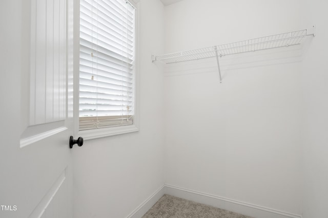400 Swann Trl, Clayton, NC 27527 - view of walk in closet