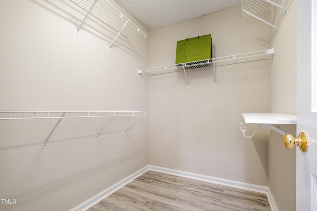102 Brook Fryar St, Cary, NC 27519 - photo 24