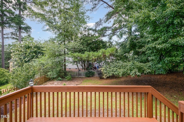 102 Brook Fryar St, Cary, NC 27519 - photo 38