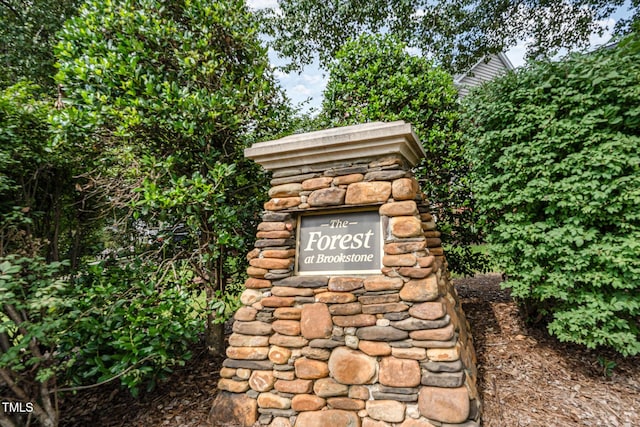 102 Brook Fryar St, Cary, NC 27519 - photo 50