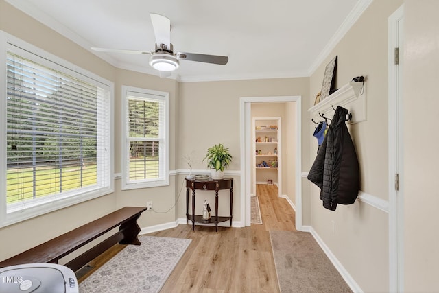 506 Tirzah Dr, Lillington, NC 27546 - photo 21