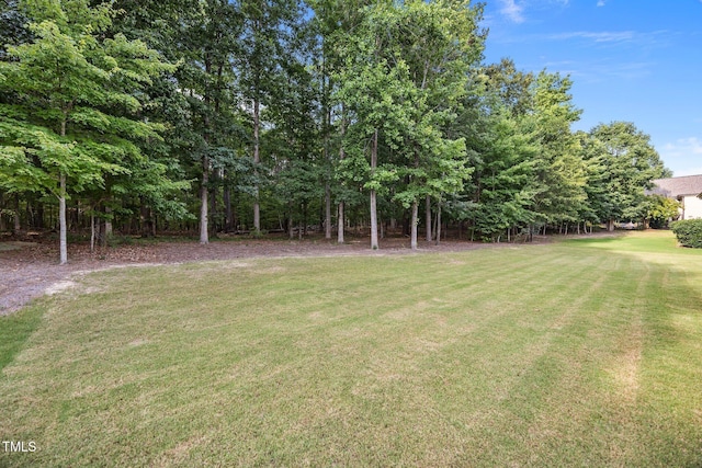 3036 Lawson Walk Way, Rolesville, NC 27571 - view of grassy yard