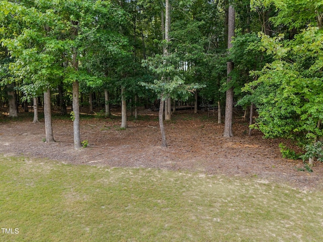 3036 Lawson Walk Way, Rolesville, NC 27571 - view of green lawn