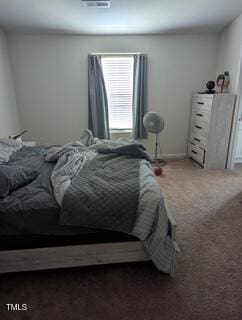 512 Crow Field St, Roxboro, NC 27574 - photo 10