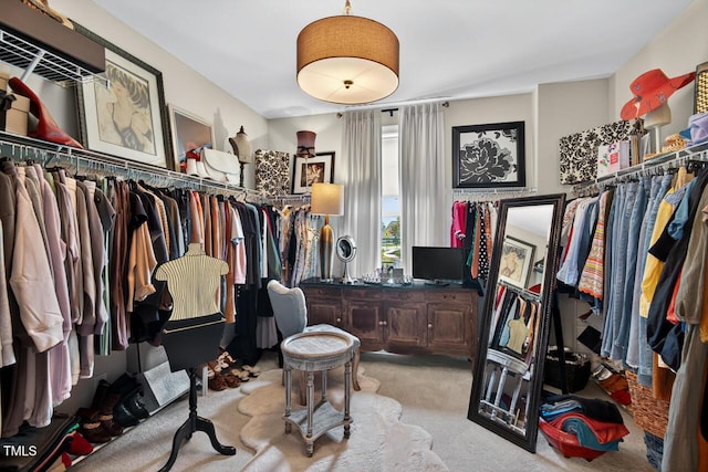 1806 Pattersons Mill Rd, Durham, NC 27703 - walk in closet with carpet
