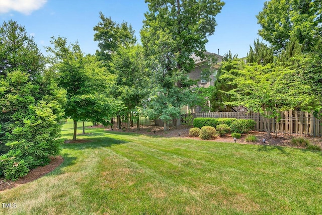 1806 Pattersons Mill Rd, Durham, NC 27703 - view of yard