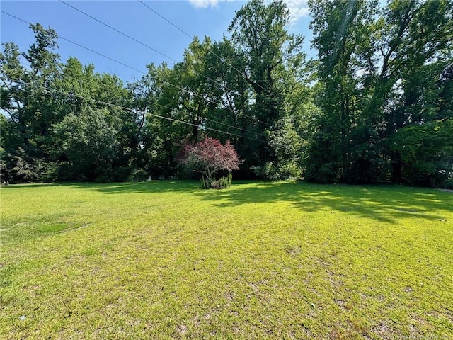 3159 E White Pond Rd, Fairmont, NC 28340 - photo 6