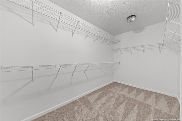 105 Quiet Cv, Raeford, NC 28376 - photo 23