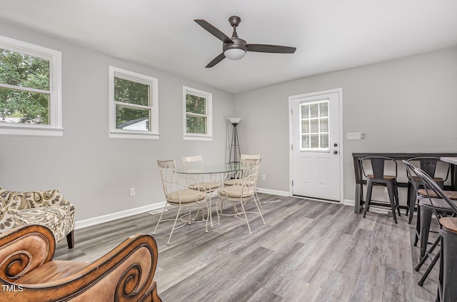 709 Brighton Rd, Raleigh, NC 27610 - photo 15