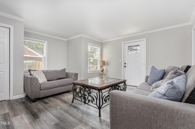 709 Brighton Rd, Raleigh, NC 27610 - photo 6