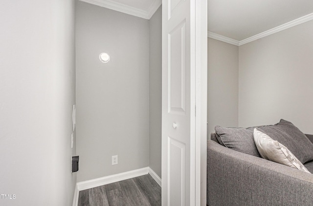 709 Brighton Rd, Raleigh, NC 27610 - photo 9
