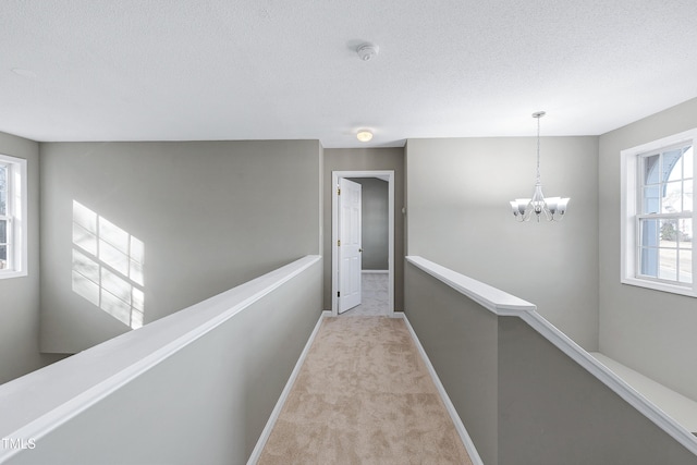 2901 Alder Ridge Ln, Raleigh, NC 27603 - photo 19