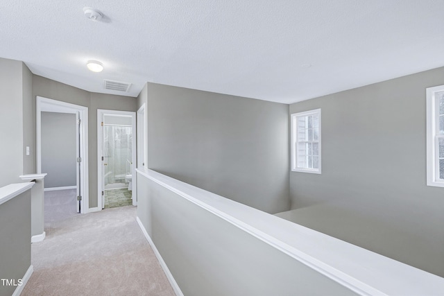 2901 Alder Ridge Ln, Raleigh, NC 27603 - photo 20