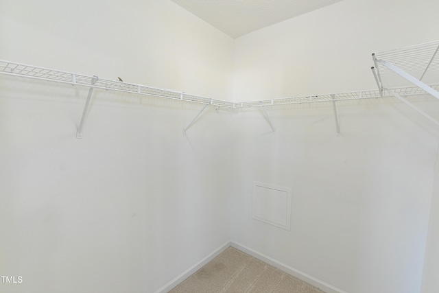 2901 Alder Ridge Ln, Raleigh, NC 27603 - photo 27