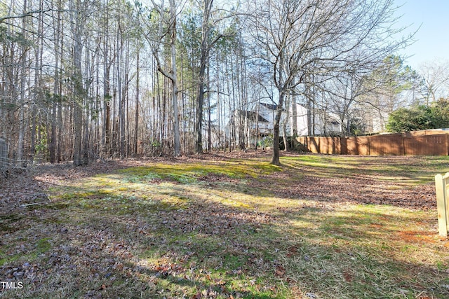 2901 Alder Ridge Ln, Raleigh, NC 27603 - photo 39