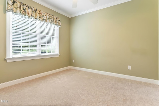 413 Chadwick Ln, Efland, NC 27243 - photo 19