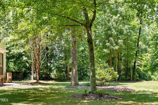 413 Chadwick Ln, Efland, NC 27243 - photo 42