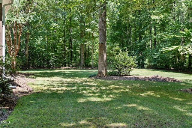 413 Chadwick Ln, Efland, NC 27243 - photo 43