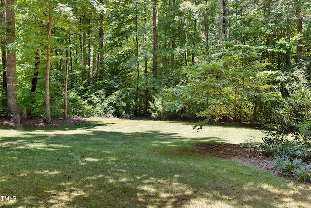 413 Chadwick Ln, Efland, NC 27243 - photo 44