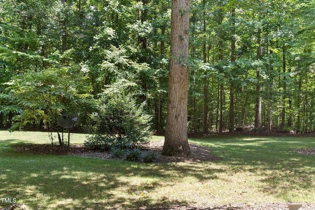 413 Chadwick Ln, Efland, NC 27243 - photo 45