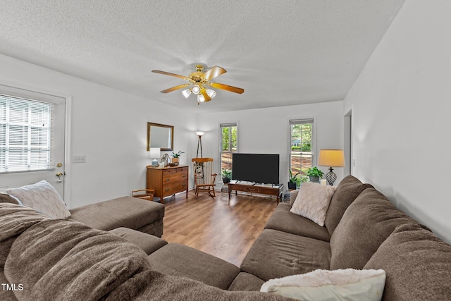 918 Circle Dr, Angier, NC 27501 - living room featuring wood finished floors, a ceiling fan, and a textured ceiling