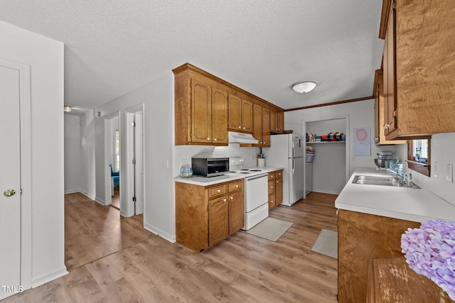 918 Circle Dr, Angier, NC 27501 - kitchen with white appliances, under cabinet range hood, light countertops, light wood finished floors, and brown cabinetry