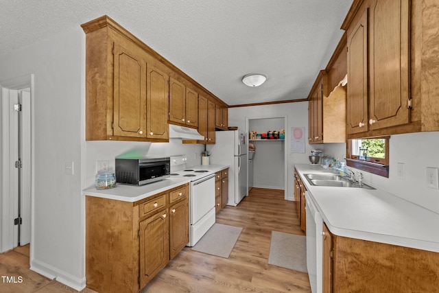 918 Circle Dr, Angier, NC 27501 - kitchen with white appliances, under cabinet range hood, light wood finished floors, a textured ceiling, and light countertops