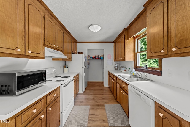 918 Circle Dr, Angier, NC 27501 - kitchen with white appliances, under cabinet range hood, brown cabinets, light countertops, and light wood-style flooring