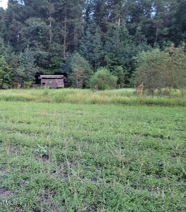 10505 Ruth Vinson Rd, Autryville, NC 28318