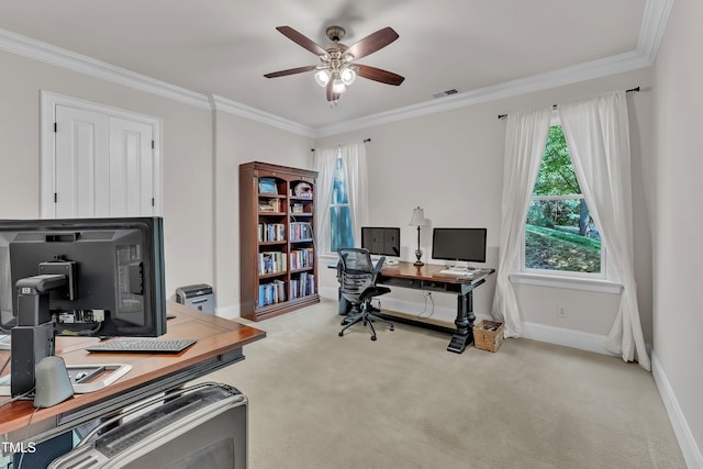 1004 Tobiano Ln, Raleigh, NC 27614 - photo 38