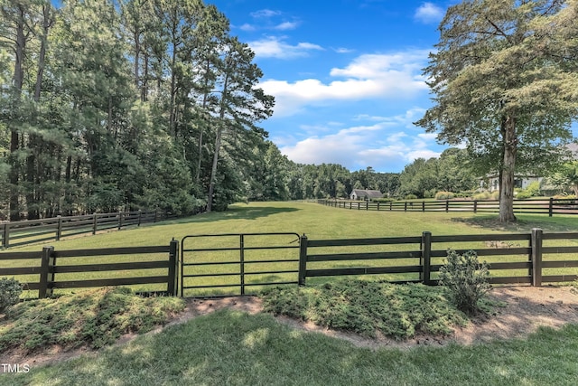 1004 Tobiano Ln, Raleigh, NC 27614 - photo 45
