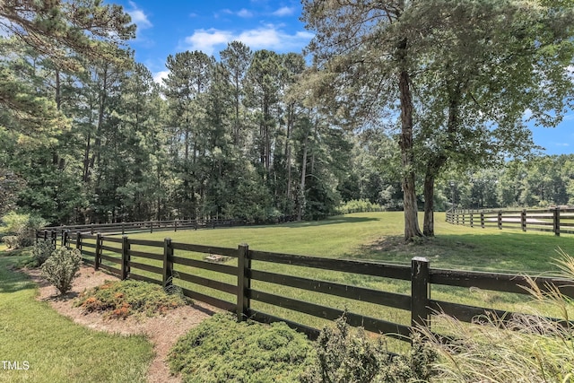 1004 Tobiano Ln, Raleigh, NC 27614 - photo 46