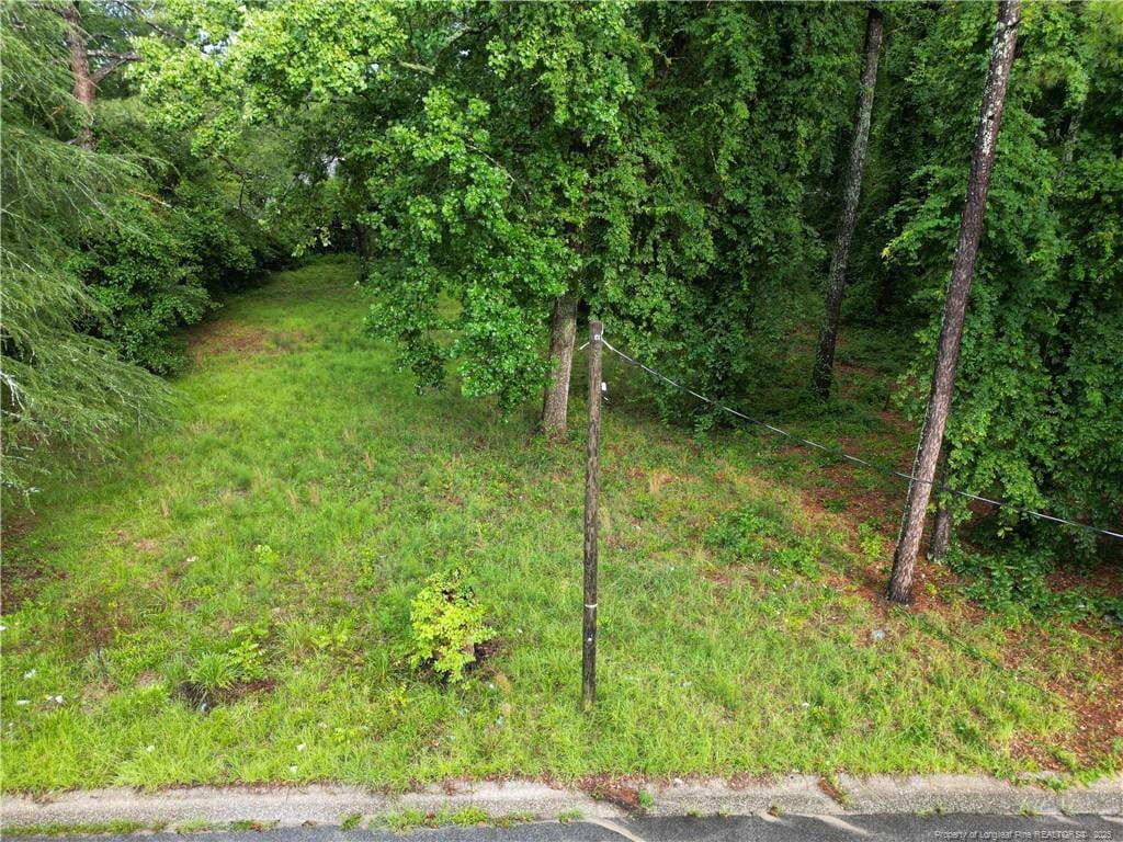 207 Preston Ave, Fayetteville, NC 28301 - photo 1