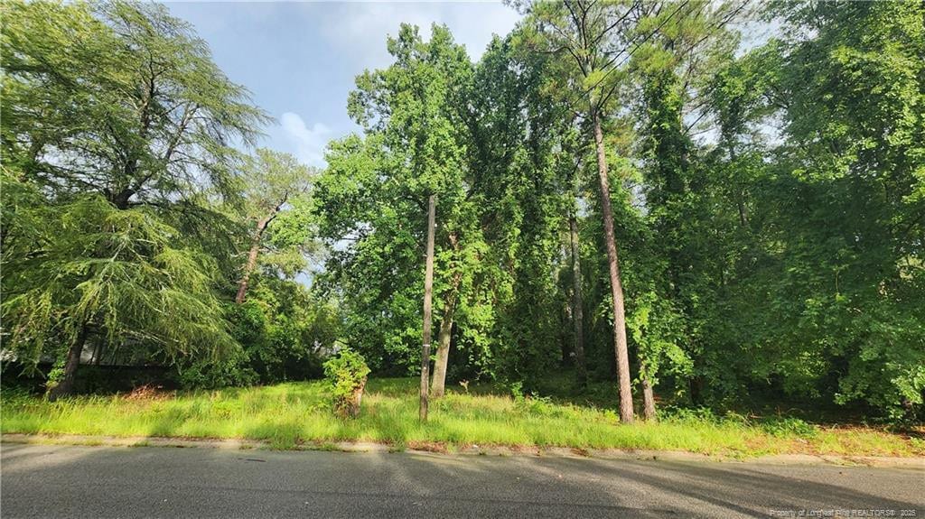 207 Preston Ave, Fayetteville, NC 28301 - photo 2