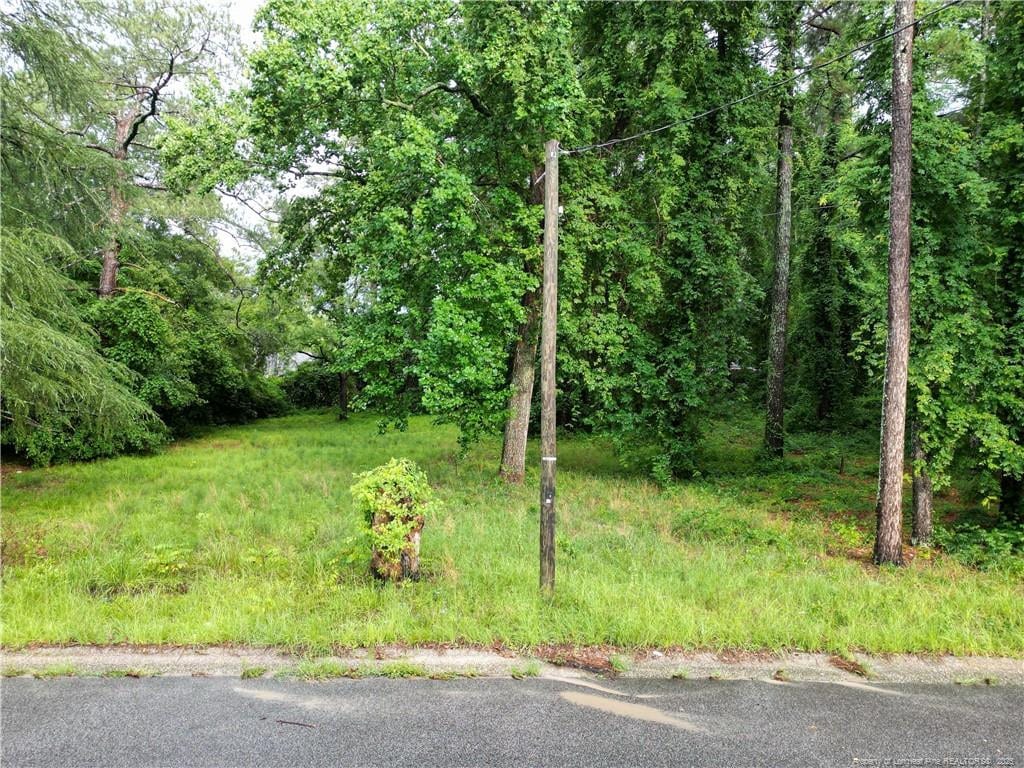 207 Preston Ave, Fayetteville, NC 28301 - photo 3