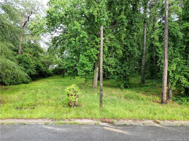 207 Preston Ave, Fayetteville, NC 28301 - photo 3