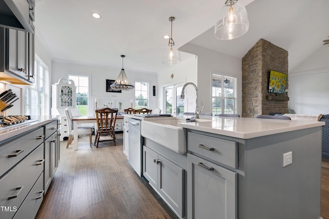447 Marcellus Way, Clayton, NC 27527 - kitchen featuring dishwasher, open floor plan, gray cabinetry, dark wood-style flooring, and light countertops