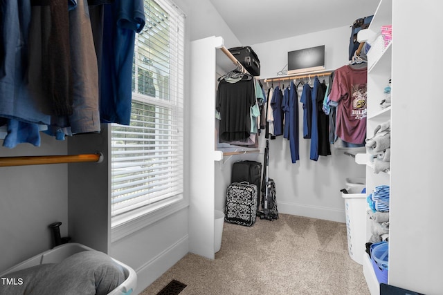 149 Hadley Ln, Clayton, NC 27527 - spacious closet with carpet