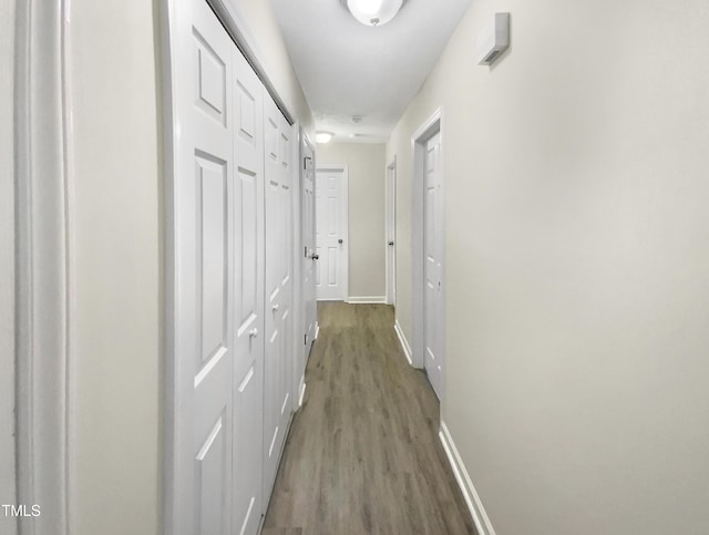 448 Chinaberry Ln, Angier, NC 27501 - photo 14