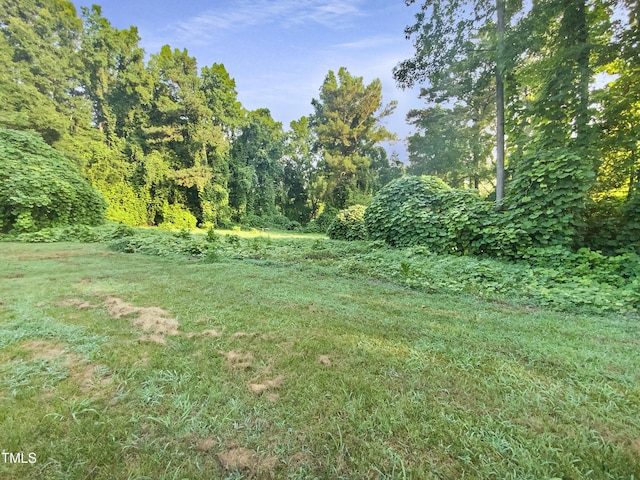 448 Chinaberry Ln, Angier, NC 27501 - photo 19
