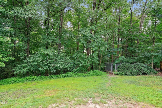 1005 Creek Front Ct, Willow Springs, NC 27592 - photo 35